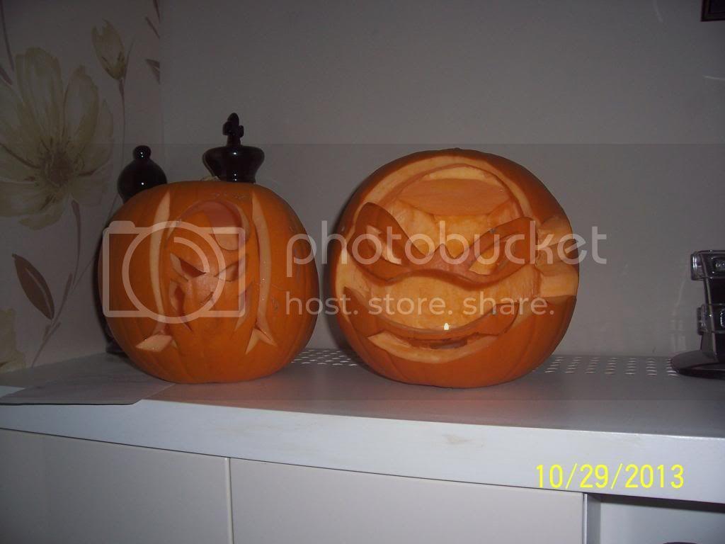 100_1915_zps817b99e2.jpg