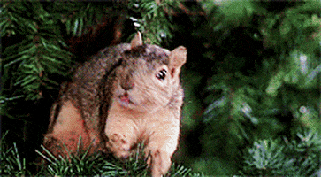 200.gif