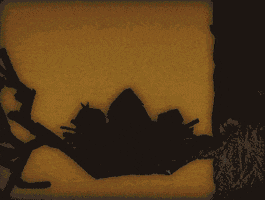 200.gif
