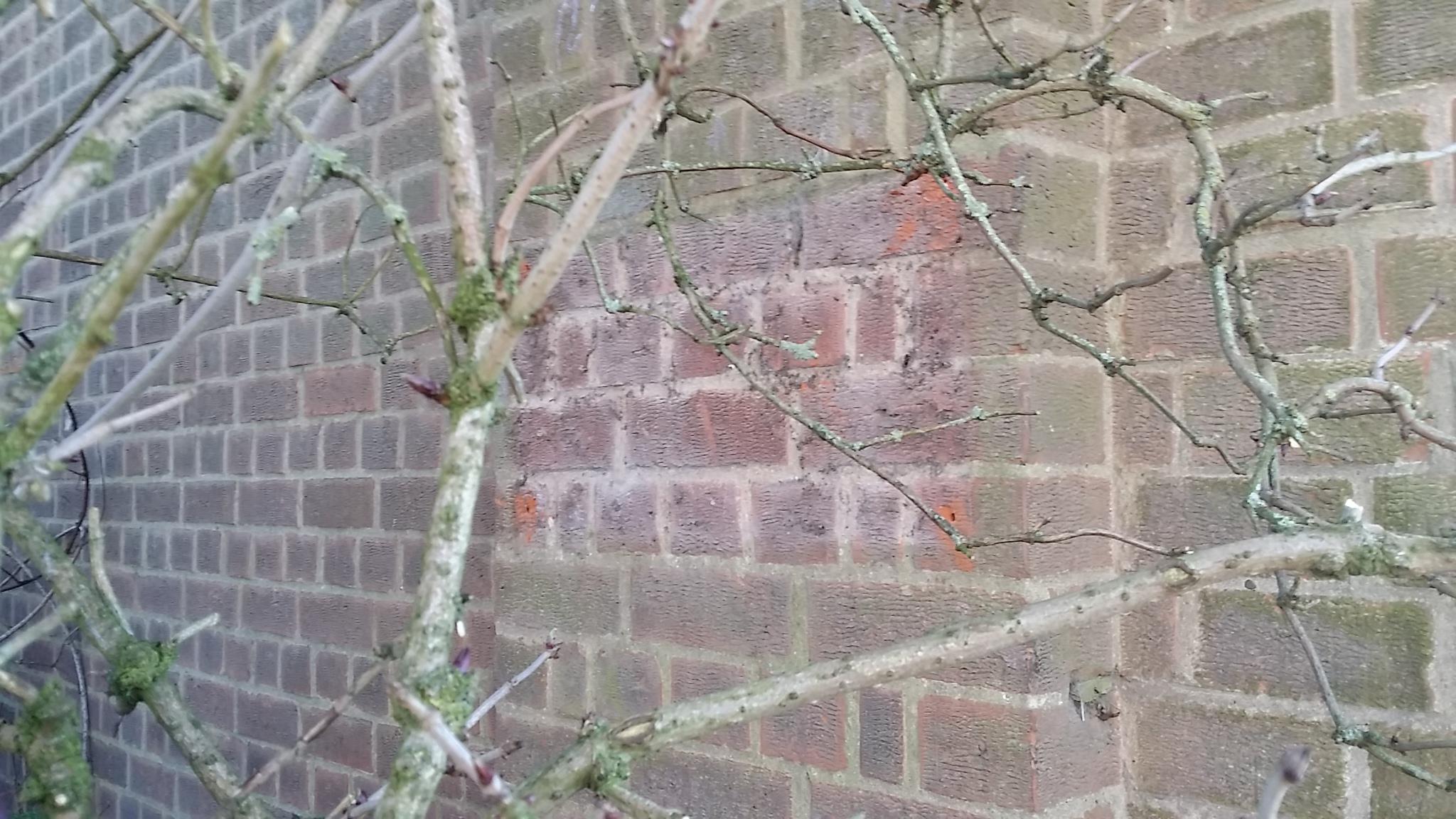 20160110_132127.jpg