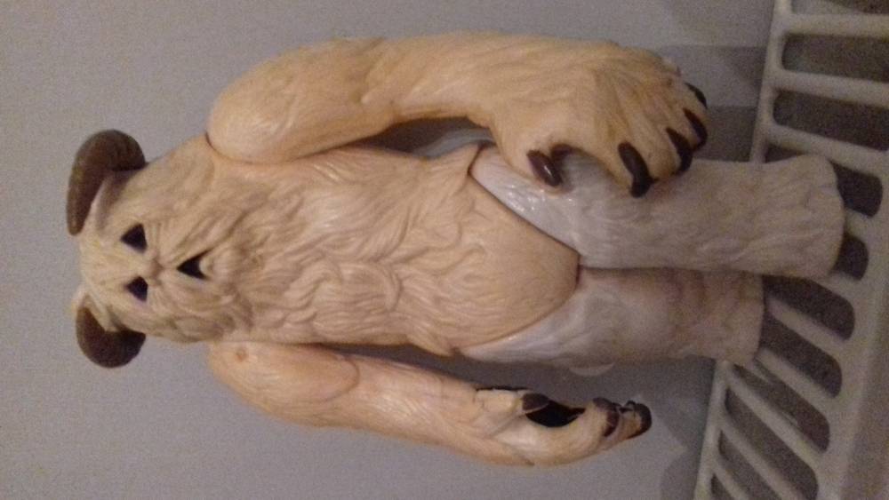 20191001_214711.jpg
