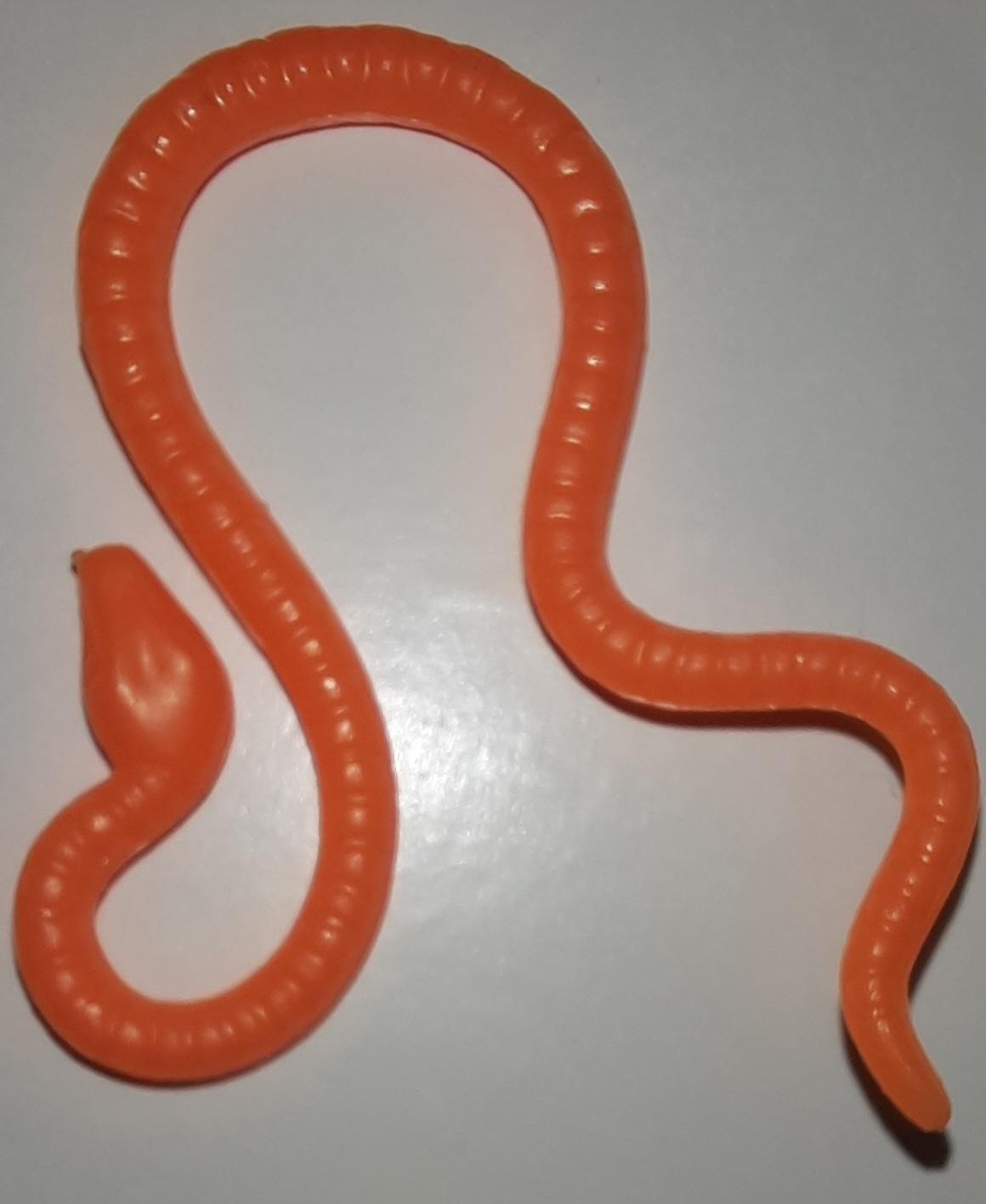 20230304_160055.jpg