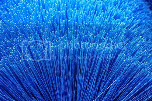 3544600387_6f710e183b_zpsf75fe7de.jpg