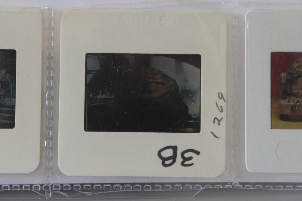 7098611337_f2bb3756bd_b.jpg