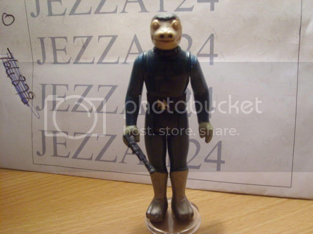 72197450.jpg