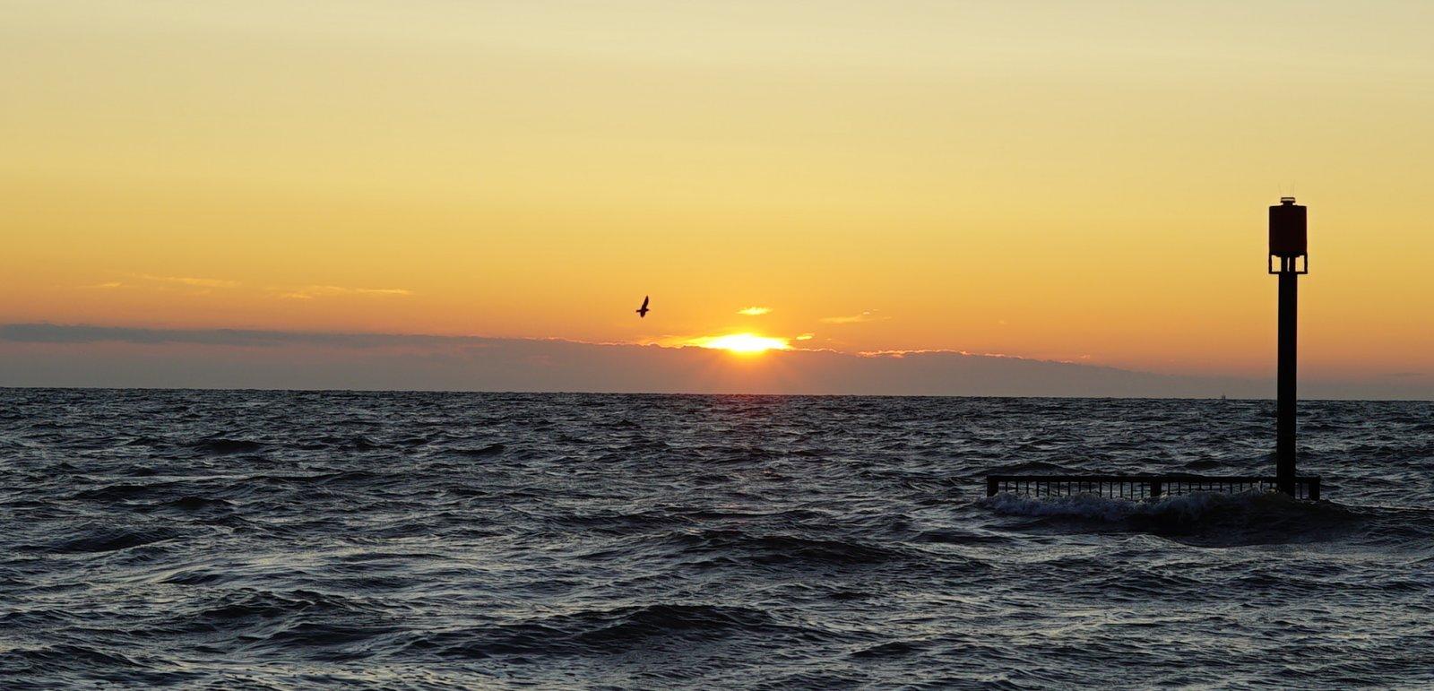 A7S00810.jpg