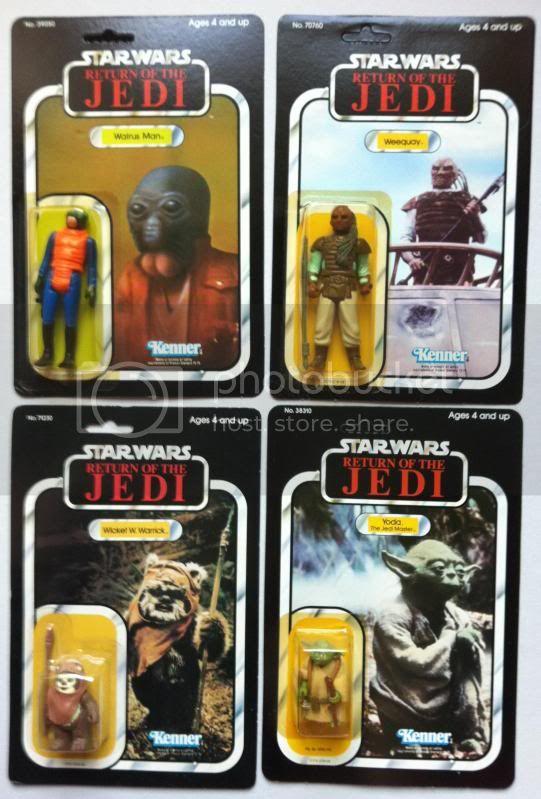 AN2020WEEQUAY2020WICKET2020YODA2028orange20snake29.jpg