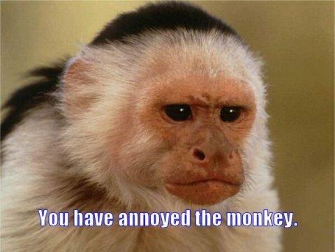 annoyed.jpg