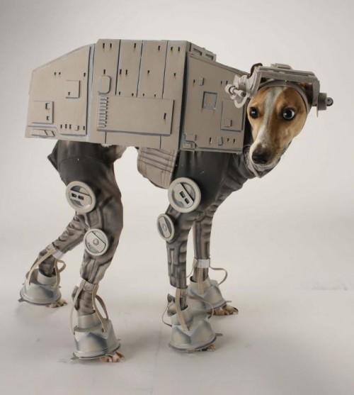 atatdog-500x557.jpg