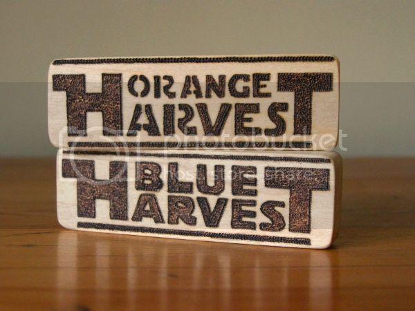 BlueOrangeHarvest2_zpsbd96dce0.jpg