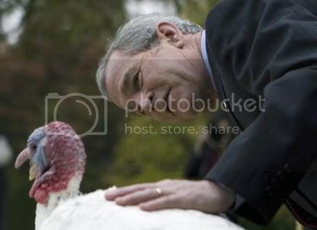 captionchallenge-bush-turkey.jpg