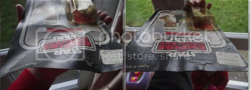 cardback2_zps845e1d11.jpg