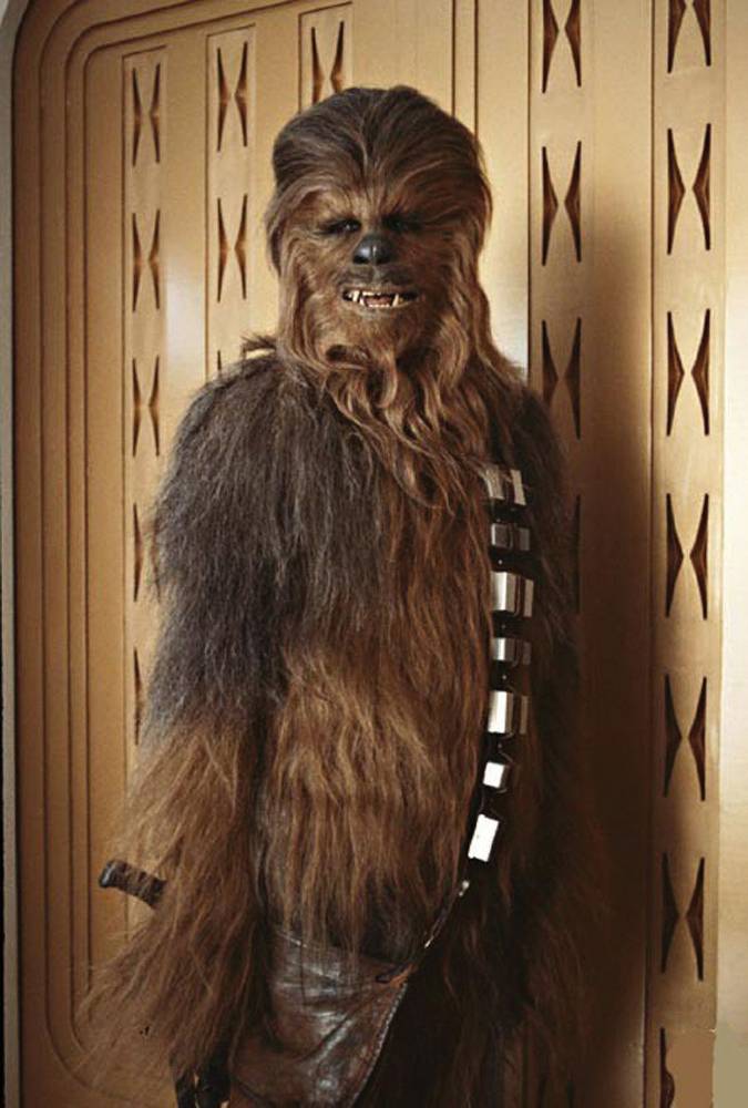 chewie.jpg