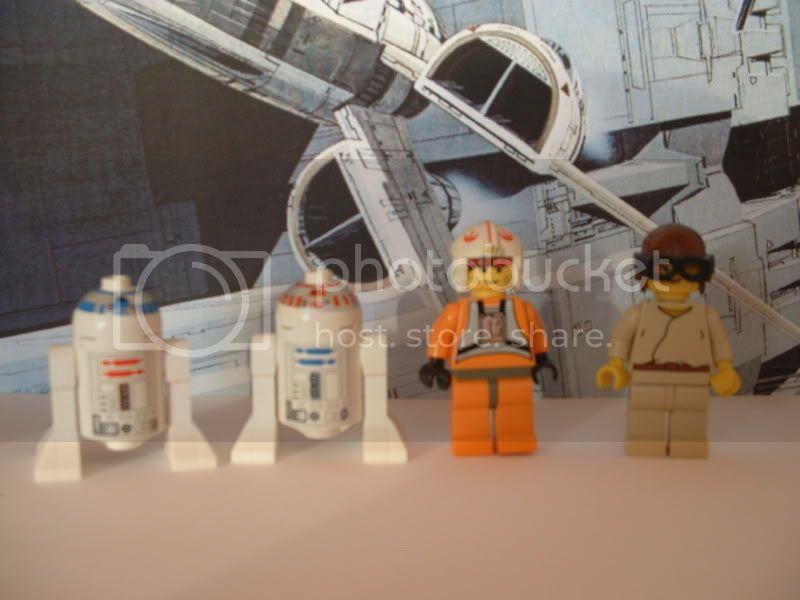 chewy019.jpg