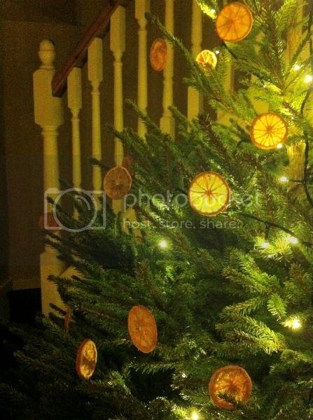 Christmas2013_zps82082b0e.jpg