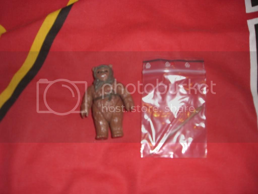 CIMG4833.jpg