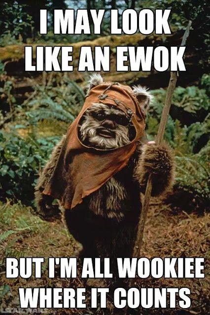 d2d45ae162109b3c29ff1bf2--star-wars-puns-fun-stuff.jpg