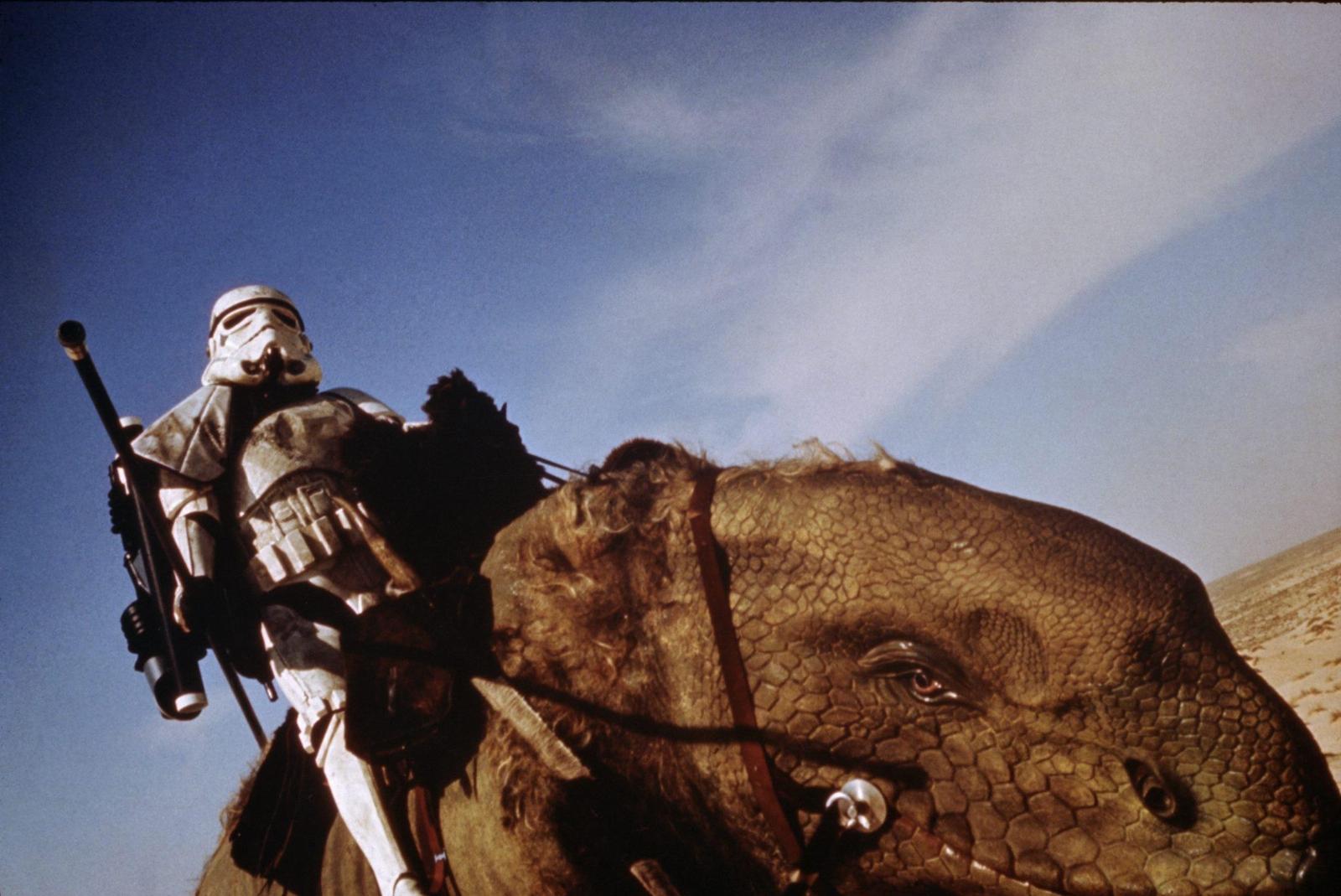 Dewback1.jpg