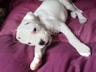 DSC00726-1-2.jpg