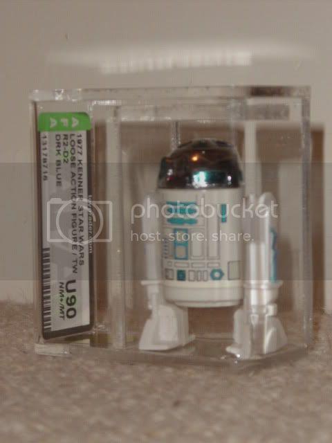 DSC00774.jpg