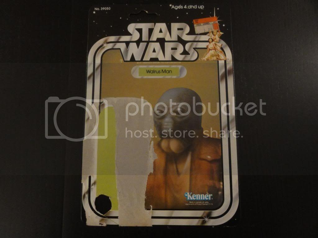 DSC01204_zps2c9b7abd.jpg