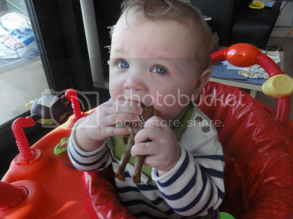 DSC01329_zps629ab1a7.jpg