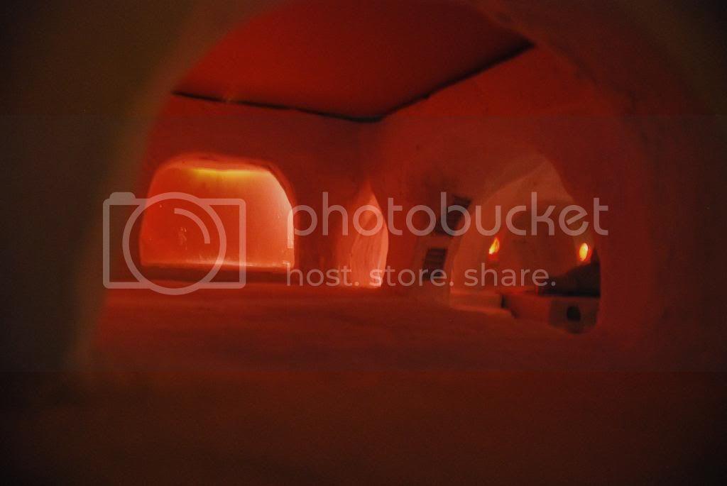 DSC_0310.jpg
