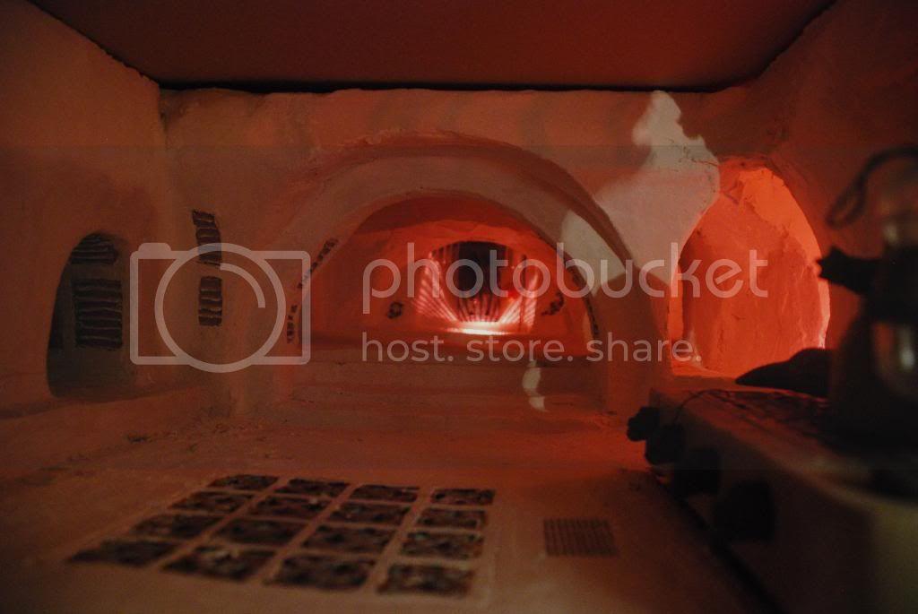 DSC_0318.jpg