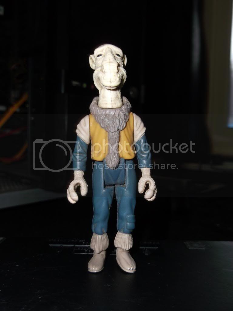 DSCF0157.jpg
