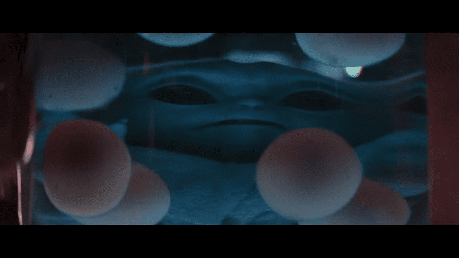 eggs.png