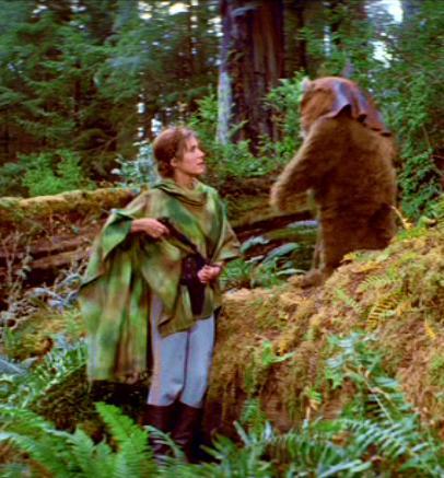 endor015.jpg