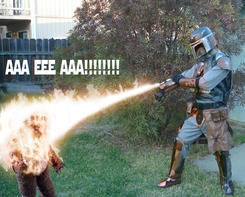 Ewok_burning_by_JadenTracyn.jpg