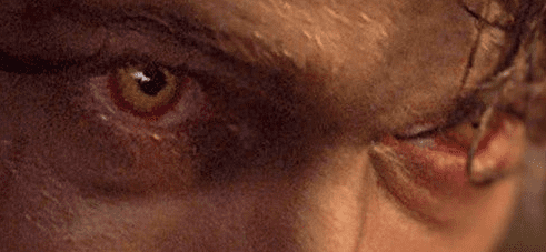 eyes3.png