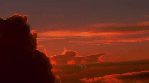 giphy.gif