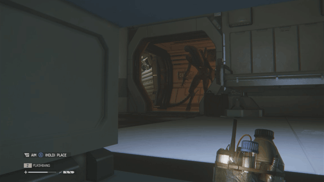 gx3seodfiy5ratx30tq4.gif
