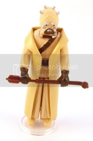 Hollowcheekedtuskenraider1.jpg