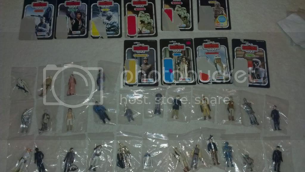 IMAG0239.jpg