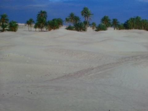 IMG_20130604_201041.jpg
