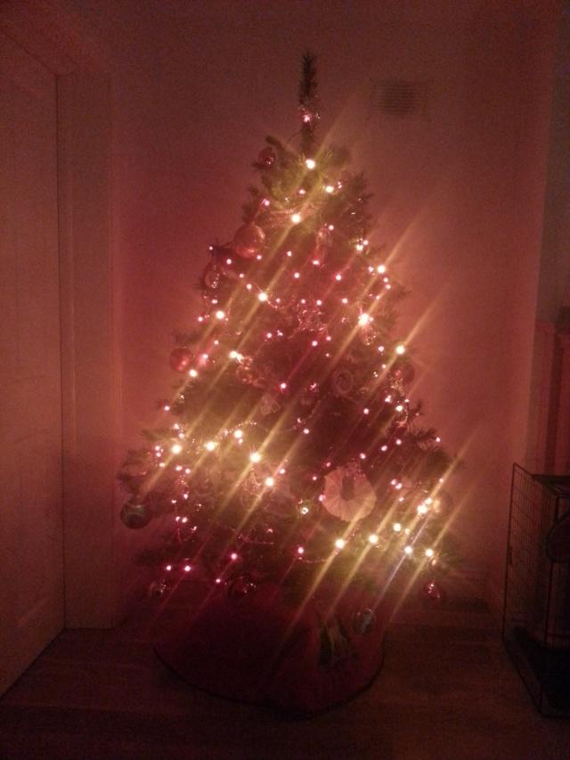 IMG_20131209_073345.jpg