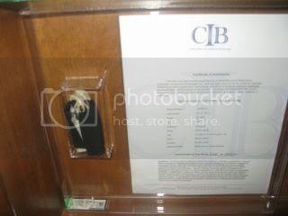 IMG_21061.jpg
