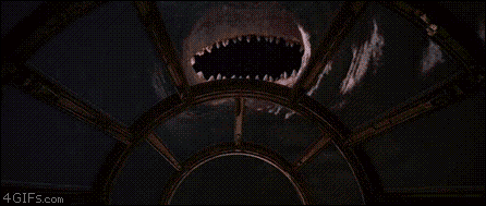 IMG_2525.gif