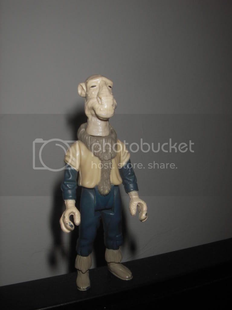 IMGP0161.jpg
