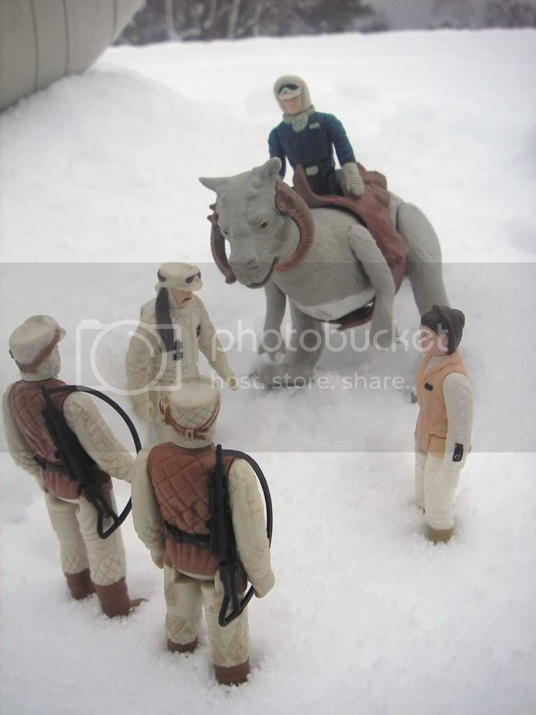 IMGP0307.jpg