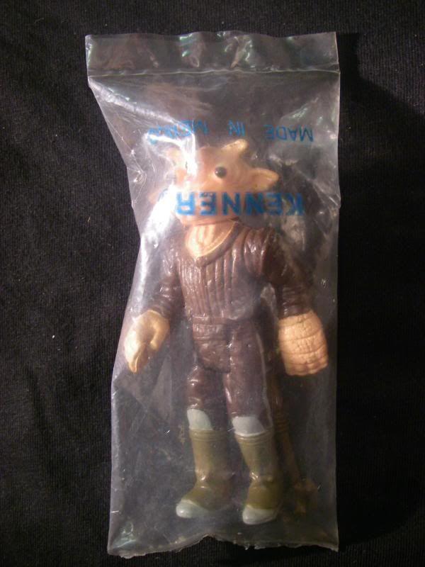 IMGP6329.jpg