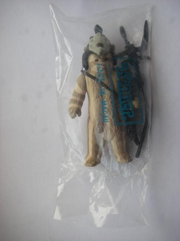 IMGP7254.jpg