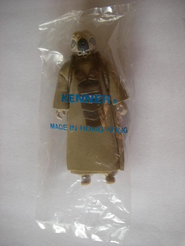 IMGP8374.jpg