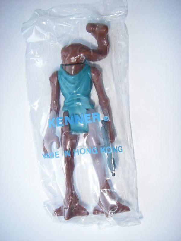IMGP8516.jpg