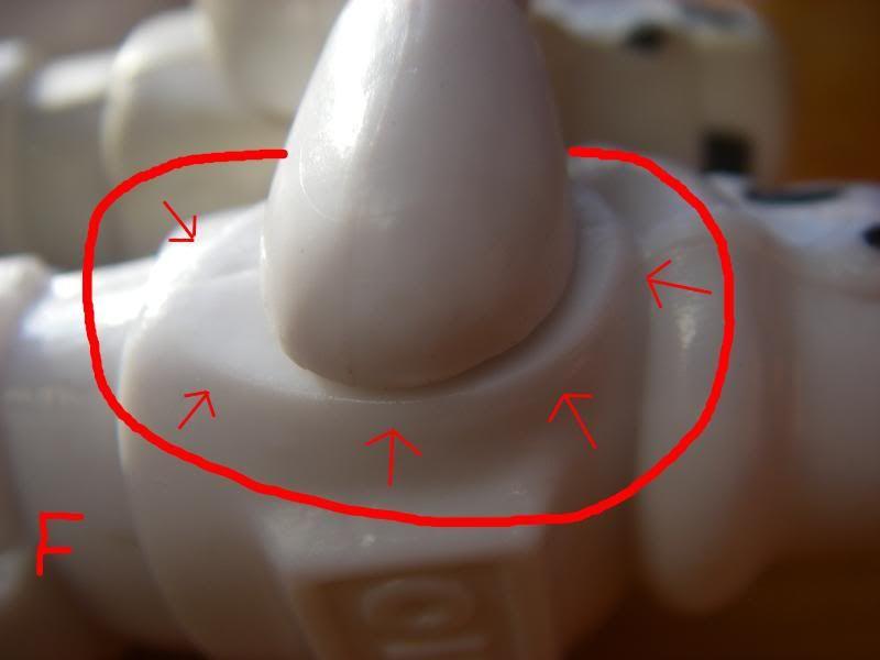 IMGP8575.jpg