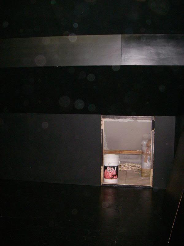 IMGP9027.jpg