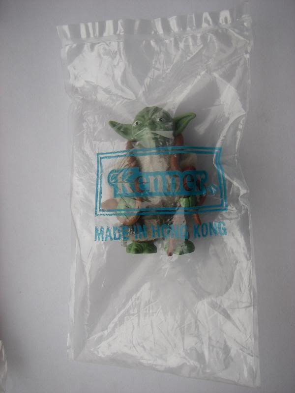 IMGP9204.jpg